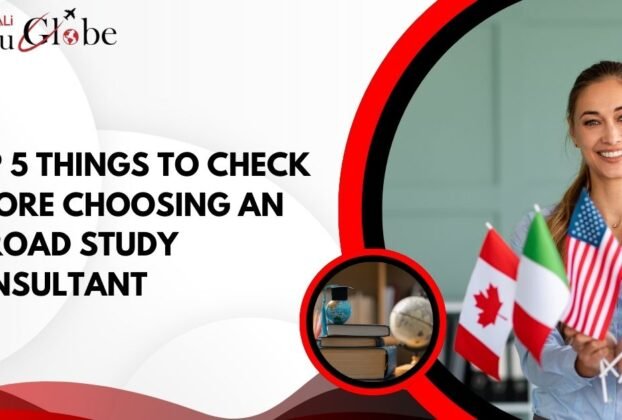 Abroad Study Consultant